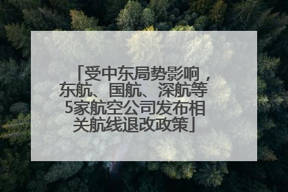 受中东局势影响，东航、国航、深航等5家航空公司发布相关航线退改政策