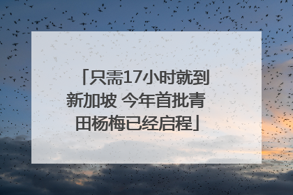 只需17小时就到新加坡 今年首批青田杨梅已经启程