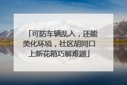 可防车辆乱入，还能美化环境，社区胡同口上新花箱巧解难题