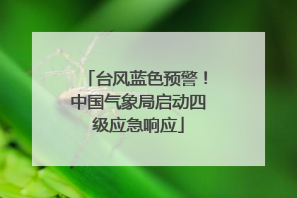 台风蓝色预警！中国气象局启动四级应急响应