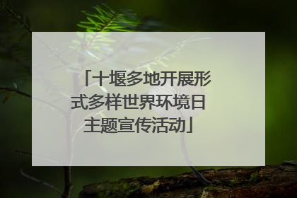 十堰多地开展形式多样世界环境日主题宣传活动