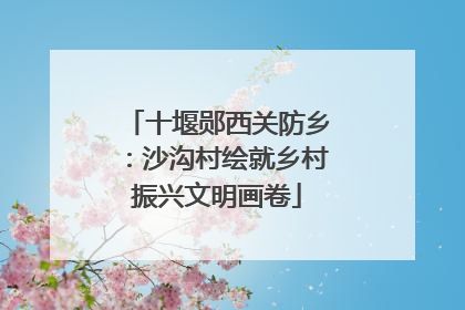 十堰郧西关防乡：沙沟村绘就乡村振兴文明画卷