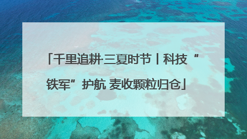 千里追耕·三夏时节丨科技“铁军”护航 麦收颗粒归仓