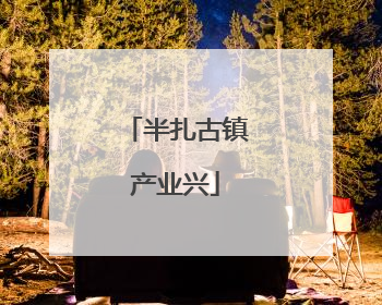 半扎古镇产业兴