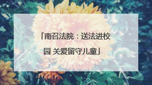 南召法院：送法进校园 关爱留守儿童
