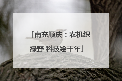 南充顺庆：农机织绿野 科技绘丰年
