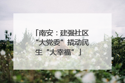 南安：建强社区“大党委”撬动民生“大幸福”