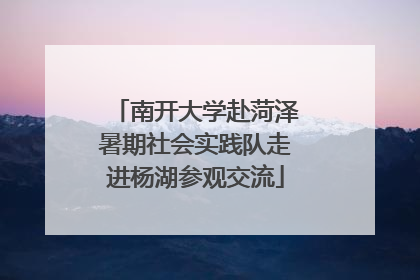 南开大学赴菏泽暑期社会实践队走进杨湖参观交流