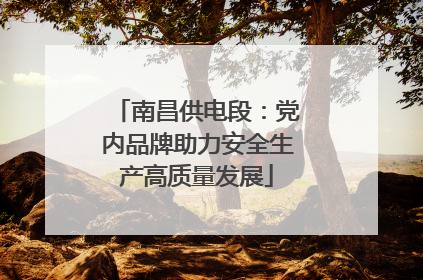 南昌供电段：党内品牌助力安全生产高质量发展