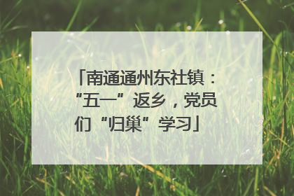 南通通州东社镇：“五一”返乡，党员们“归巢”学习