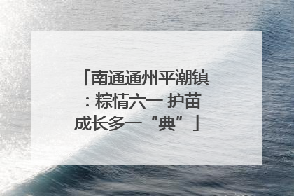 南通通州平潮镇：粽情六一 护苗成长多一“典”