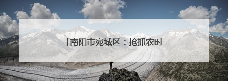 南阳市宛城区：抢抓农时保夏收 贴心服务助生产
