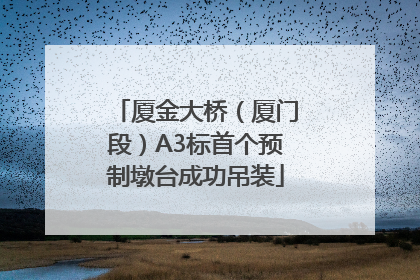 厦金大桥（厦门段）A3标首个预制墩台成功吊装