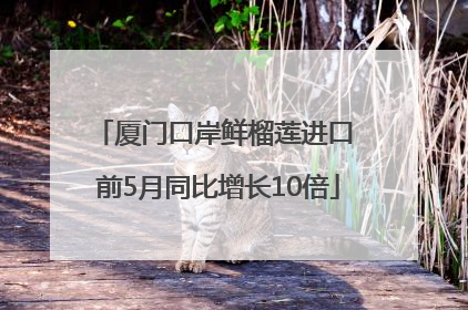 厦门口岸鲜榴莲进口 前5月同比增长10倍