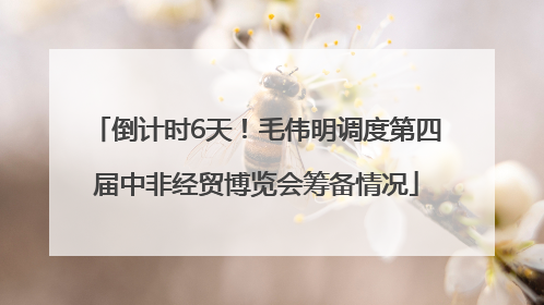 倒计时6天！毛伟明调度第四届中非经贸博览会筹备情况