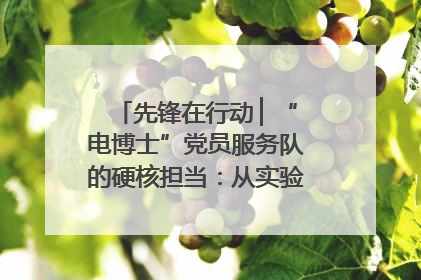 先锋在行动 ▏“电博士”党员服务队的硬核担当：从实验室到抗洪一线