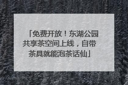 免费开放！东湖公园共享茶空间上线，自带茶具就能泡茶话仙