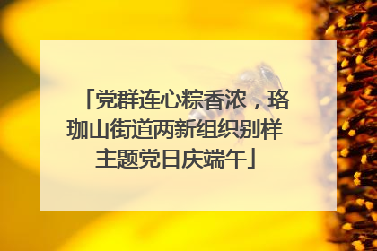 党群连心粽香浓，珞珈山街道两新组织别样主题党日庆端午