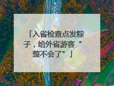 入省检查点发粽子，给外省游客“整不会了”