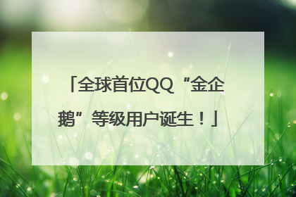 全球首位QQ“金企鹅”等级用户诞生！