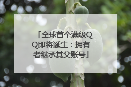 全球首个满级QQ即将诞生：拥有者继承其父账号