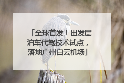 全球首发！出发层泊车代驾技术试点，落地广州白云机场
