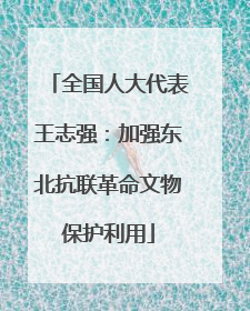 全国人大代表王志强：加强东北抗联革命文物保护利用