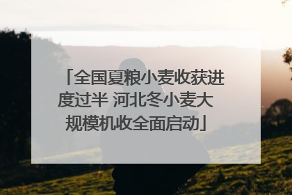 全国夏粮小麦收获进度过半 河北冬小麦大规模机收全面启动