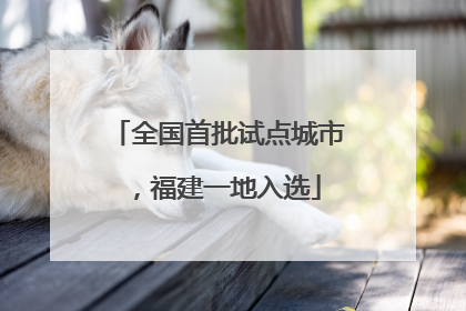 全国首批试点城市，福建一地入选