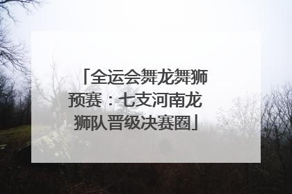 全运会舞龙舞狮预赛：七支河南龙狮队晋级决赛圈