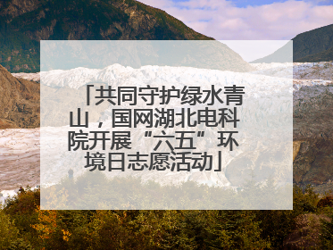 共同守护绿水青山，国网湖北电科院开展“六五”环境日志愿活动
