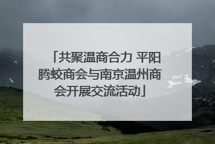 共聚温商合力 平阳腾蛟商会与南京温州商会开展交流活动