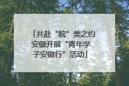 共赴“皖”美之约 安徽开展“青年学子安徽行”活动