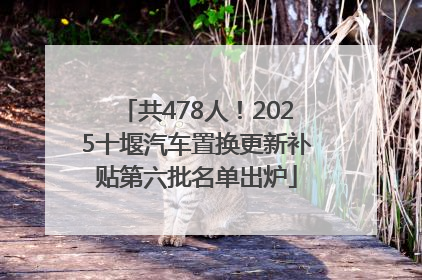 共478人！2025十堰汽车置换更新补贴第六批名单出炉