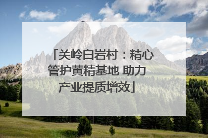 关岭白岩村：精心管护黄精基地 助力产业提质增效