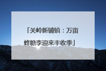 关岭新铺镇：万亩蜂糖李迎来丰收季