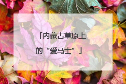 内蒙古草原上的“爱马士”