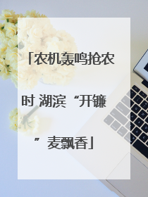 农机轰鸣抢农时 湖滨“开镰”麦飘香