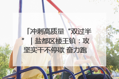 冲刺高质量“双过半”｜盐都区楼王镇：攻坚实干不停歇 奋力跑赢“上半场”