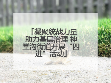 凝聚统战力量 助力基层治理 神堂沟街道开展“四进”活动