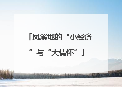 凤溪地的“小经济”与“大情怀”