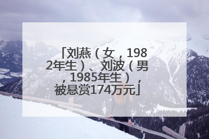 刘燕（女，1982年生）、刘波（男，1985年生），被悬赏174万元