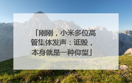 刚刚，小米多位高管集体发声：诋毁，本身就是一种仰望