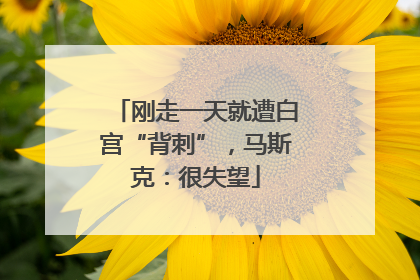 刚走一天就遭白宫“背刺”，马斯克：很失望