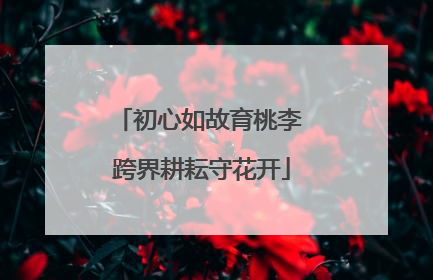 初心如故育桃李 跨界耕耘守花开