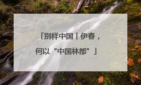 别样中国丨伊春，何以“中国林都”