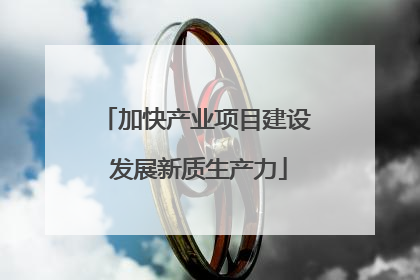 加快产业项目建设 发展新质生产力