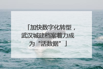 加快数字化转型，武汉城建档案着力成为“活数据”