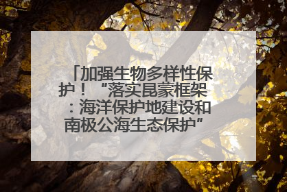 加强生物多样性保护！“落实昆蒙框架：海洋保护地建设和南极公海生态保护”主题论坛将举办
