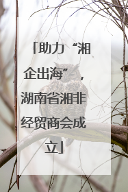 助力“湘企出海”，湖南省湘非经贸商会成立